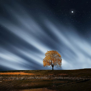 小泽玛利亚被躁120分钟
